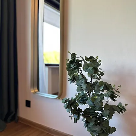 Festungsblick Am Rhein - Panorama Appartement *