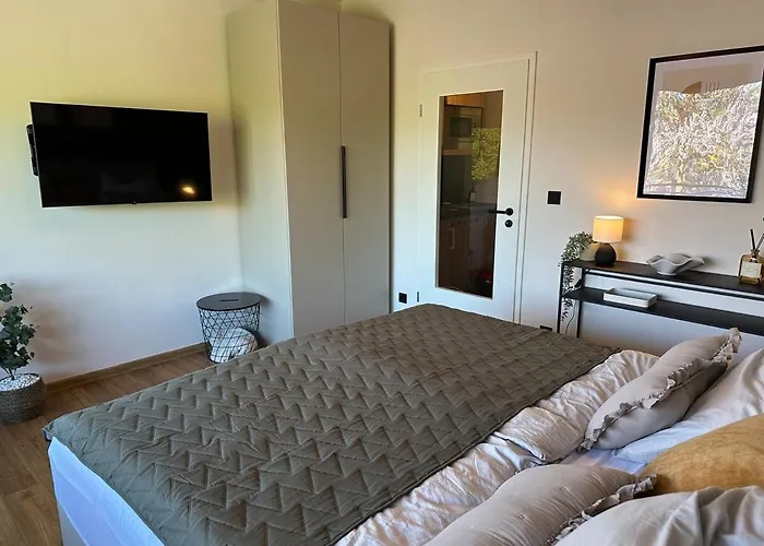 Festungsblick Am Rhein - Panorama *